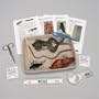 Young Scientist's Animal Dissection Kit