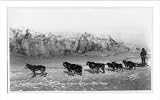 Historic Print (L): M.J. McCarthy's entry, 3rd All-Alaska sweepstakes, Chester Bilby, driver