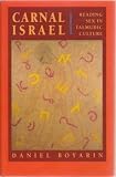 Carnal Israel : reading sex in Talmudic culture