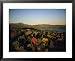 Autumn View across Baxter State Park, Maine Framed Art Poster Print by Sam Abell, 31x25