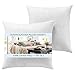 YesterdayHome Set of 2-22x22 Decorative Throw Pillow Inserts-Down Feather Pillow Inserts-White