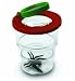 Edu Science 4090 Three Section Bug Viewer