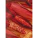Red Stalker Ornamental Corn 30 Seeds - Annual