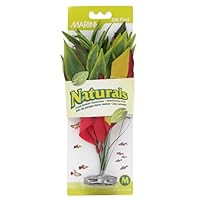 Hagen Marina Naturals Dracena Silk Plant, Medium, Red/Yellow