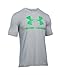 Under Armour UA Gameday Sportstyle Logo LG True Gray Heather