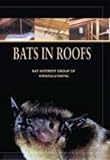 Bats in Roofs