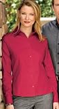 Ladies Nailhead Non-Iron Button-Down Shirt (up to size 2X)