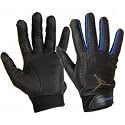 NIKE Team Jordan Batting Gloves