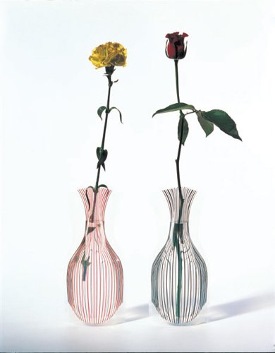 D-BROS フラワーベース ストライプ