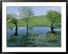 Marshy area near the Lejre open-air museum Photographers Framed Art Poster Print by Sisse Brimberg, 39x31