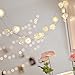 INST 10 LED Battery Operated White Rose Flower Fairy Lights Valentine Lights For Valentine's Day(Warmwhite)