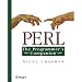 Perl: The Programmer's Companion