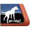 Got Ridge? ~ Rhodesian Ridgeback Dog Vinyl Window Decal