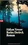 Barins Dreieck: Roman (German Edition)