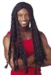 Rasta Dreadlocks Wig Costume Wig