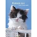 Gro�er farbiger Katzenkalender, Cats, Chats, Gatti 2012
