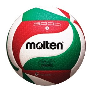 Molten V5M5000 Premium Competition Volleyball