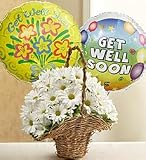 Flowers - Basket Full of Daisies with Get Well Balloons - Medium