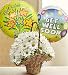 Flowers - Basket Full of Daisies with Get Well Balloons - Medium