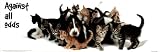 Against All Odds (Dog & Kittens) Art Poster Print - 12" X 36"