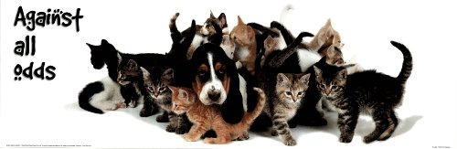 Against All Odds (Dog & Kittens) Framed Art Poster Print - 12" X 36"