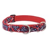 Lupine Large Martingale Style Dog Collar - Wave Hound 15-22