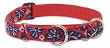 Lupine Large Martingale Style Dog Collar - Wave Hound 19-27