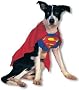 Superman Hunde Kostüm