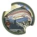 Trout Fishing Car Drink Coasters - Style DQT16