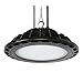 Litetronics 72110 - HB185B250DL Indoor High Low Bay LED Fixture