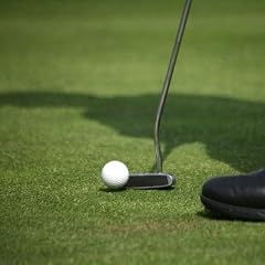 Golf f&uuml;r Anf&auml;nger mit Vorkenntnissen