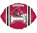6 NCAA Official Arkansas Razorbacks 18