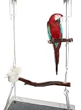 Crystal Flight Suspended Bird Perch with Tray,  65-Inches T x 23.5-Inches W x 3-Inches Deep