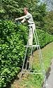 HedgeMaster Classic Garden Ladder - Perfect for Cutting Hedges [Misc.]
