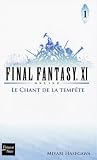 Final Fantasy XI, Tome 1 : Le Chant de la tempête