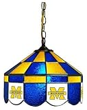 Michigan Wolverines 14 Executive Swag Hanging Lamp NCAA College Athletics