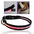 flashing cat collar