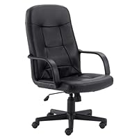 High Back Executive Computer Chair w Arms
