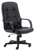 High Back Executive Computer Chair w Arms