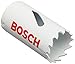 BOSCH HB100 1