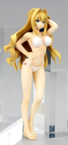 セキレイ 〜未来からのおくりもの-イメージ