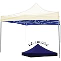 3 In 1 Reversible Canopy Blue/White - 10'