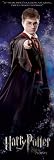 Harry Potter And The Order Of The Phoenix Door Poster Print, 21x62