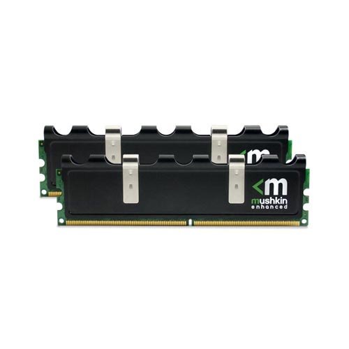 Mushkin Enhanced Blackline Frostbyte 4 GB Desktop Memory 996580