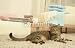 Wallmonkeys Peel and Stick Wall Decals - Cat - Removable Graphic