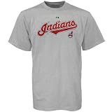 Majestic Cleveland Indians Ash Series Sweep Short Sleeve T-Shirt