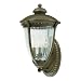 Westinghouse 69551 Takona Park Three-Light Exterior Wall Lantern, Florentine Bronze with Clear Crystal Ribbed Globe