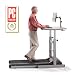 LifeSpan TR1200-DT Treadmill Desk (2013 Model)