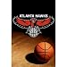 Atlanta Hawks (Logo, Basketball) Sports Poster Print - 24x36