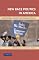 New Race Politics in America: Understanding Minority and Immigrant Politics